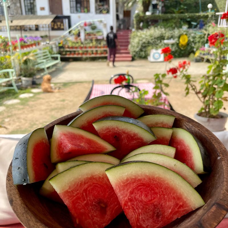 469696504_18156894193334000_7849976667550429140_n