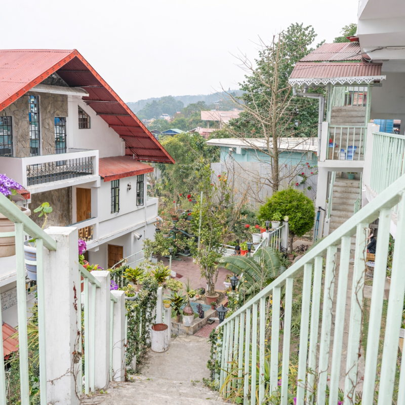 Hillside garden and residential steps